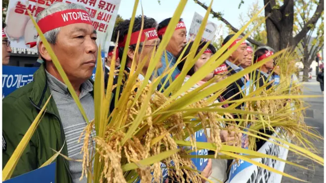 농민공동행동 회원들이 24일 서울 종로구 정부서울청사앞에서 손팻말과 벼를 들고 기자회견을 진행하고 있다
