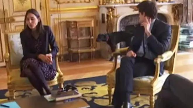 フランスのエマニュエル・マクロン大統領が夫人と飼う犬「ネモ」が各省幹部との会議の最中におしっこをし、一同が爆笑する一幕があった。