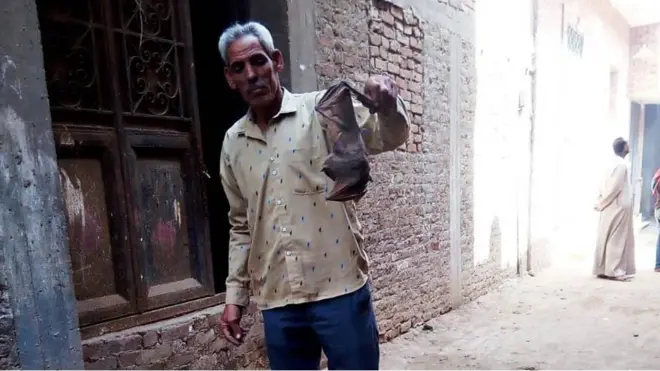 فيروس كورونا: هجوم الخفافيش يثير ذعرا بقرية مصرية