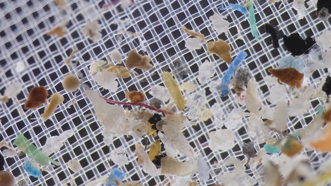 Imagem mostra microplásticos