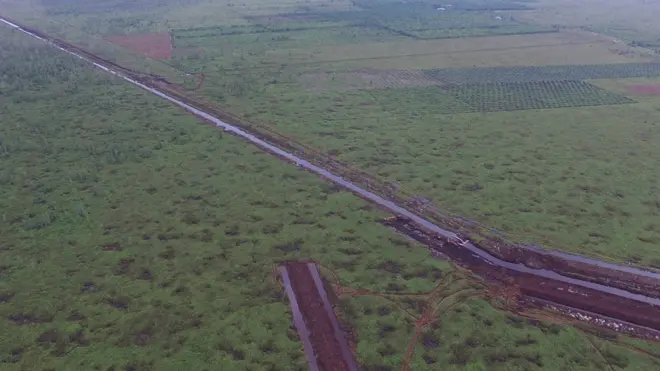 Pembangunan kanal di Sungai Putri dapat membahayakan habitat orang utan dan berisiko terjadi kebakaran hutan