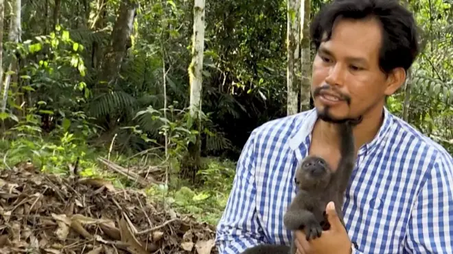 حكاية منقذ القرود الكولومبي