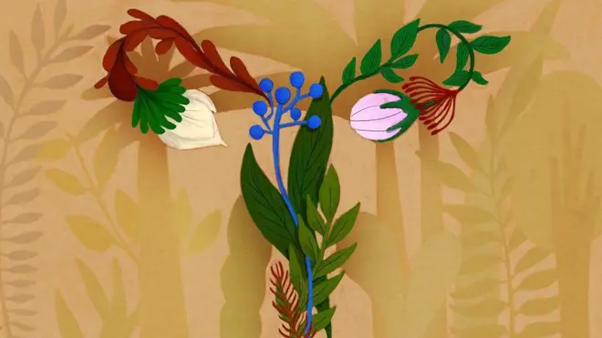 Fakkii gadameessaa ababoon hojjetame