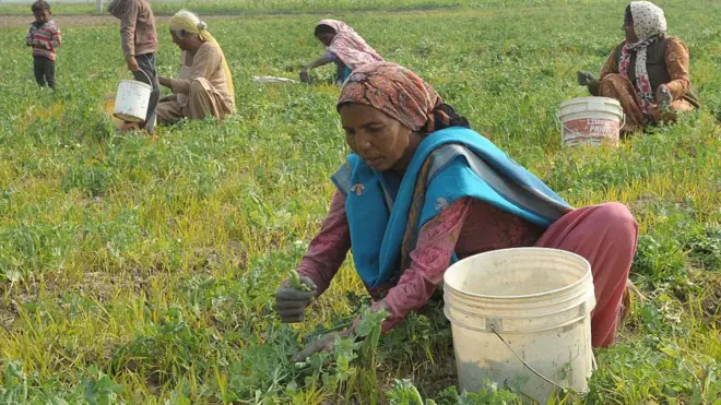 ਵਿੱਤ ਮੰਤਰੀ ਹਰਪਾਲ ਸਿੰਘ ਚੀਮਾ ਨੇ ਆਖਿਆ ਕਿ ਸੂਬਾ ਸਰਕਾਰ ਸਿਰ ਹੁਣ ਕਰਜ਼ੇ ਦਾ ਬੋਝ 4 ਲੱਖ ਕਰੋੜ ਨੂੰ ਛੂਹ ਗਿਆ ਹੈ (ਸੰਕੇਤਕ ਤਸਵੀਰ)