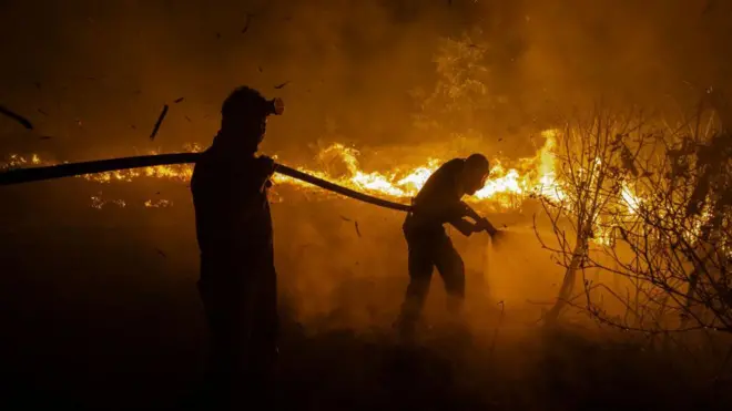 Kebakaran lahan di Indonesia