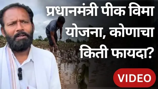 ग्राफिक्स