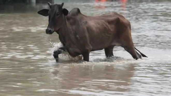 प्रतीकात्मक तस्वीर