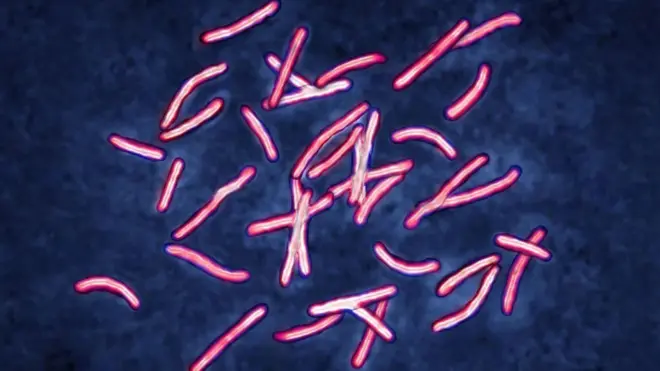 माइक्रोबायोलॉजिस्ट्स