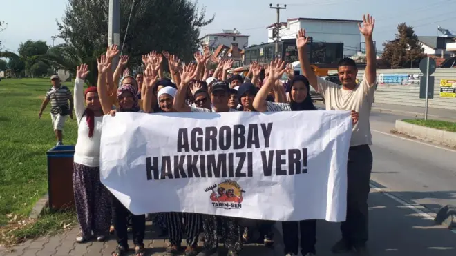 Agrobay tarım işçileri 