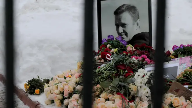 Могила Алексея Навального, снятая сквозь решетку кладбищенской ограды