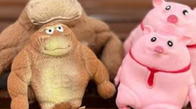 نمونه عروسک‌های ضد استرس پلاستیکی به شکل خوک صورتی و گوریل قهوه‌ای، مشهور به مرتضی و مرضیه که اعتراض گروهی را به عنوان «توهین به مقدسات» درآورده ست