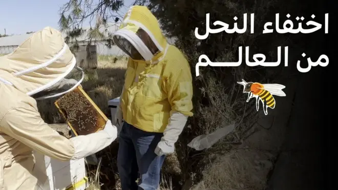 النحل والعالم