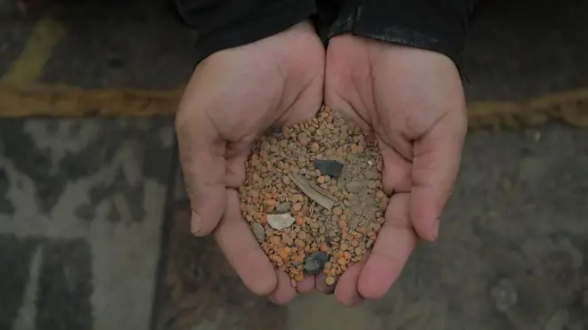 يدا سيدة في غزة تحمل في كفيها حفنة من حبوب العدس المخلوطة بتراب وأحجار صغيرة.