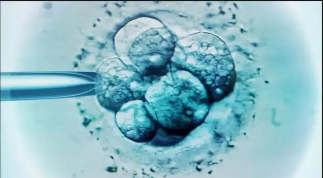 Qaar badan oo ka mid ah hay;adaha korsashada ilmaha ee Maraykanka ayaa u arka barnaamijyadooda inay yihiin kuwo nolol badbaadinaya.