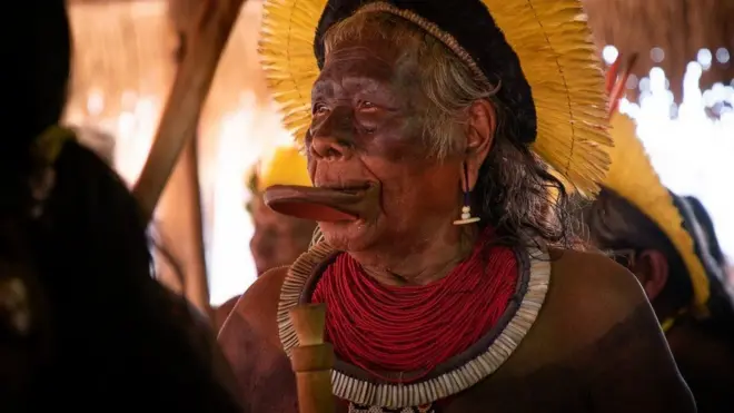 కొన్ని తెగలవారు అడవుల్లోపల దాక్కుని కరోనా మహమ్మారి నుంచి తమను తాము కాపాడుకునే ప్రయత్నం చేస్తున్నారు