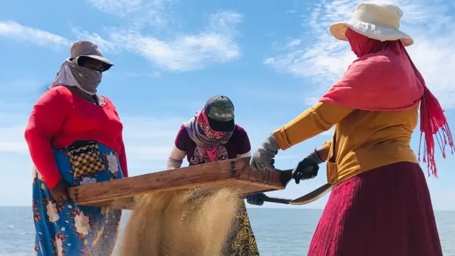 සමුද්‍රීය පරිසර ආරක්ෂණ අධිකාරිය විසින් මෙම වැඩසටහන සඳහා තෝරාගෙන ඇති බහුතරය මුහුදුකරයේ දිවි ගෙවන ධීවර කාන්තාවන්ය.