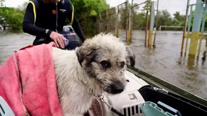 Разрушение Каховской ГЭС. Последствия