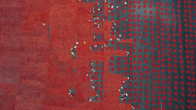 BBC調查發現,涉嫌在中國新疆強迫勞動下生產的番茄,很可能流入歐洲各地的超市。