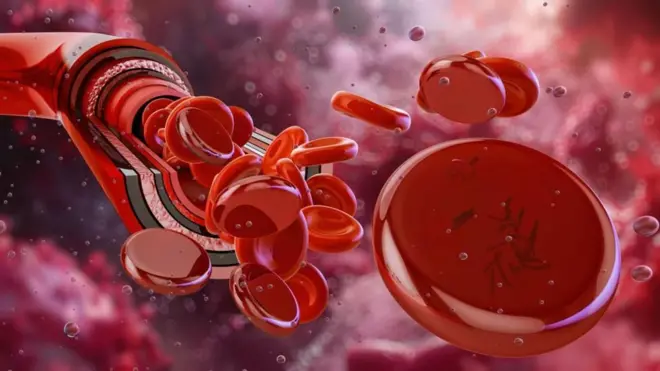 ఎర్ర రక్త కణాల ప్రతీకాత్మక చిత్రం 