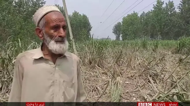 پښتونخوا سېلابونه