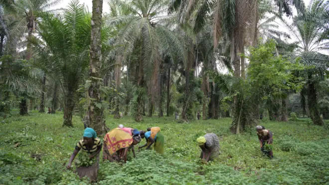 Abagore bari mu murima