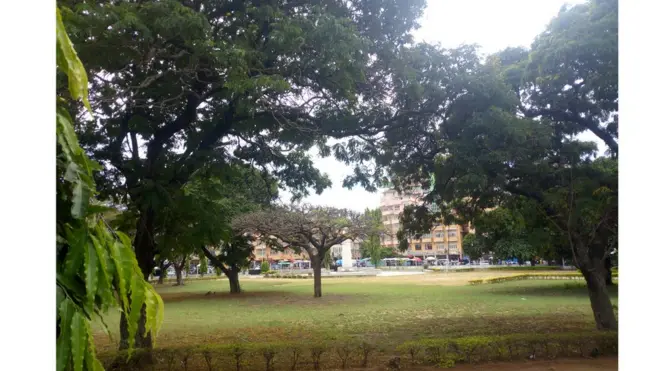 Baadhi ya bustani hizi zipo lakini zimezungushiwa kuta hivyo baadhi huwa na uoga wa kuingia