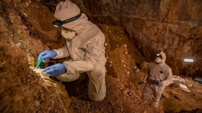 Los investigadores tomaron muestras de sedimentos en la cueva para analizar restos de ADN.