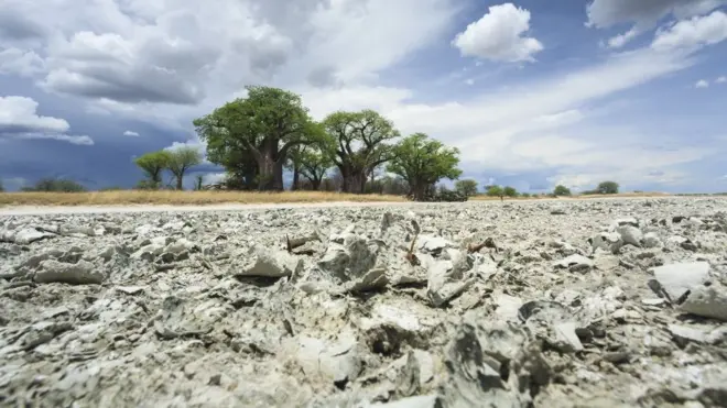 The landscape is now dry