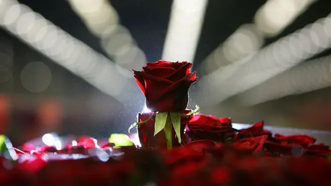 Una rosa entre las millones de flores del mercado más grande del mundo.