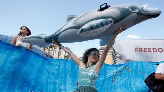 Зоозахисники не перший рік проводять акції за закриття дельфінаріїв в Україні