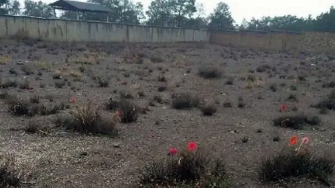 گروهی از اعدامیان در گورهای جمعی در گورستان خاوران تهران دفن شده‌اند