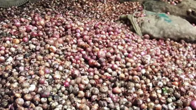 পঁচা পেয়াজ