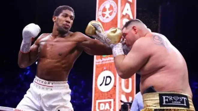 جاشوا و روئیز