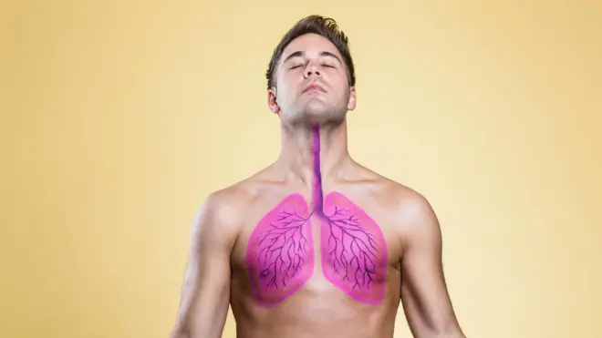 Lungs, Health, BBC Marathi आरोग्य, बीबीसी मराठी, फुप्फुसं, फुप्फुस, फुप्फुसांचं आरोग्य 