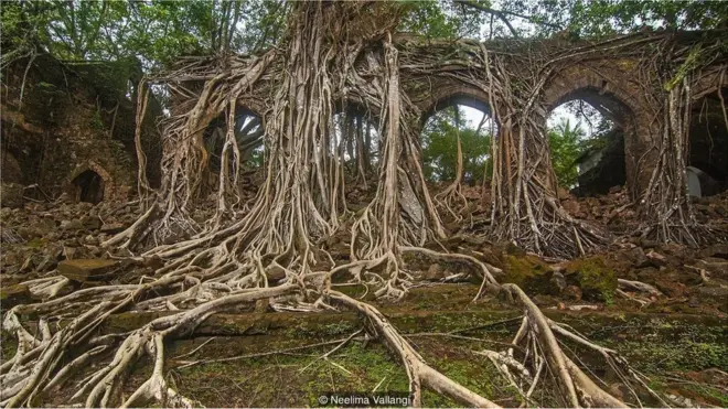 రాస్ ఐలాండ్