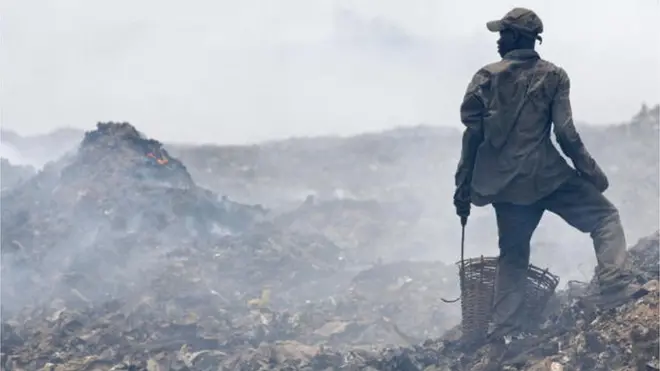 Awụlụ si ebe a ana-etufu ahịhịa na-ebute nnukwu ọrịa