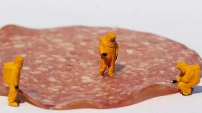 كيف تضاف النكهات لتضفي المذاق المطلوب على الأغذية المصنعة؟