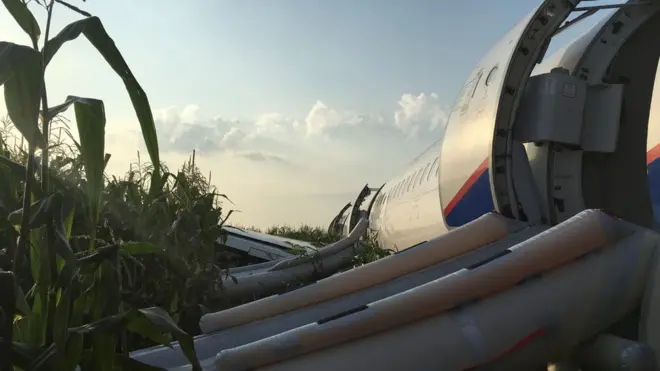 А321 в кукурузном поле