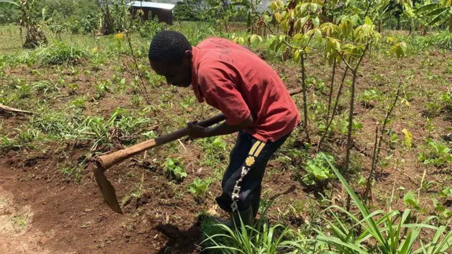 Elia Maniraguha arimo guhinga