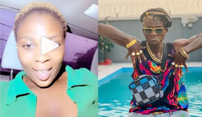 Portable ati Stelliza