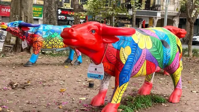 Trâu ở Hà Nội