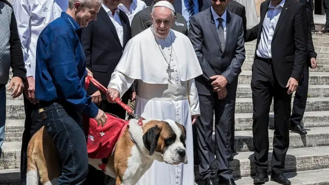 Pope Francis has been seen petting animals in the past
