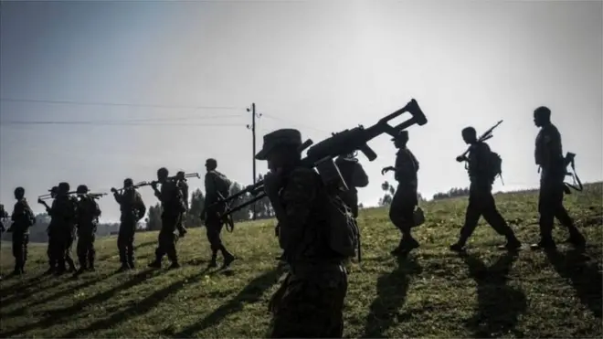 ሓይልታት ፈደራል