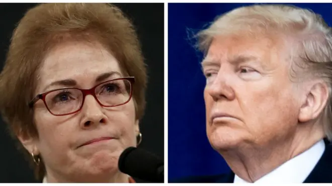 ڈونلڈ ٹرمپ، میری یووانوچ