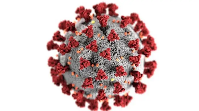 Eserese nje coronavirus