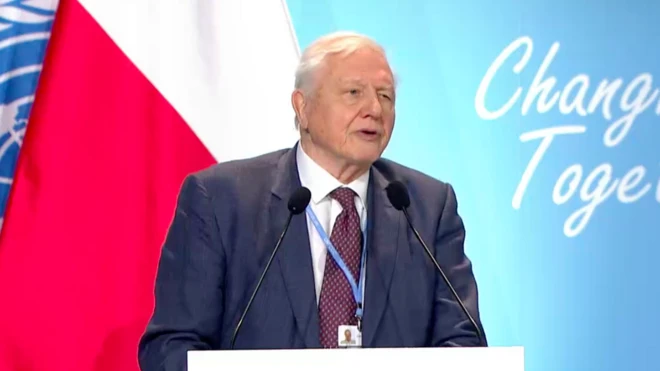 Deeviid Atteen Braaf.