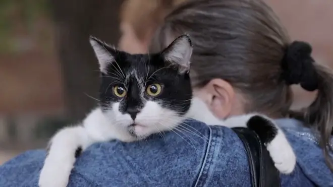 Массированные обстрелы Украины