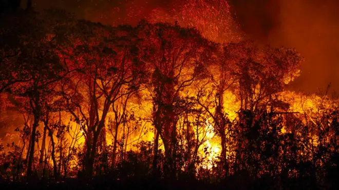 fogo no Pantanal