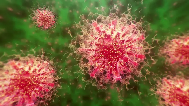 corona virus