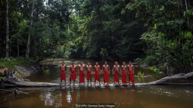 외부인과의 접촉이 이루어지기 시작한 지 채 50년이 되지 않은 브라질 와이아피 부족 대부분의 부족민이 감염병으로 숨졌다